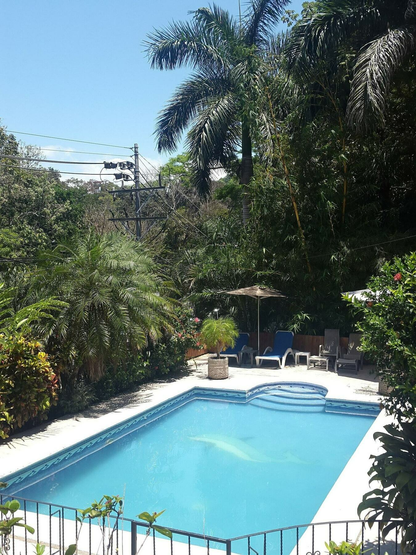 Hotel Colibri Manuel Antonio Exteriér fotografie